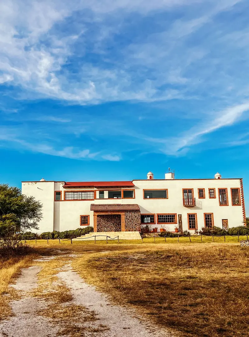 Viñedo San Juanito: experiencia sensorial en Tequisquiapan — foto 5